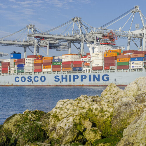 Kontenery morskie – uniwersalne rozwiązania transportowe i magazynowe