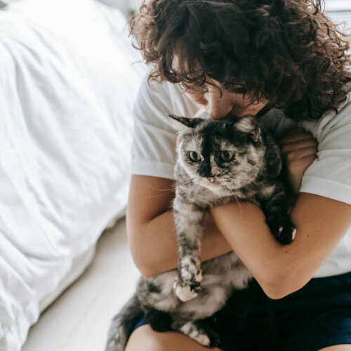 Czy najem okazjonalny w Tarnowie to dobre rozwiązanie dla właścicieli zwierząt?