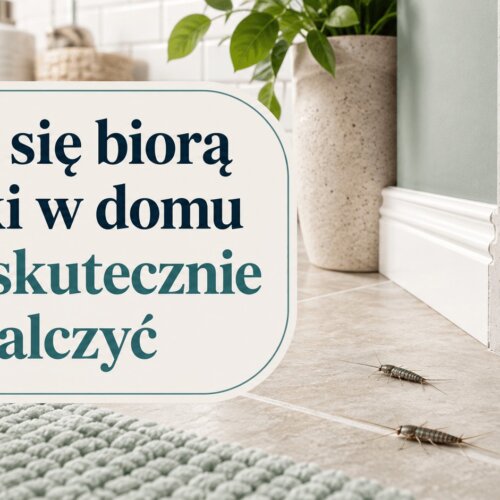 Skąd się biorą rybiki w domu i jak skutecznie je zwalczyć?